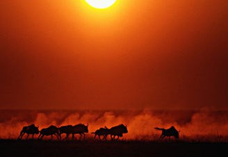 afrika_328.jpg