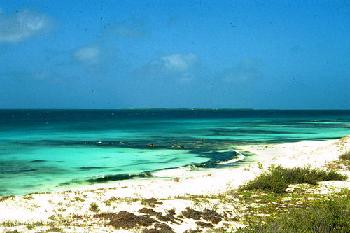 venezuela-isla-larga.jpg