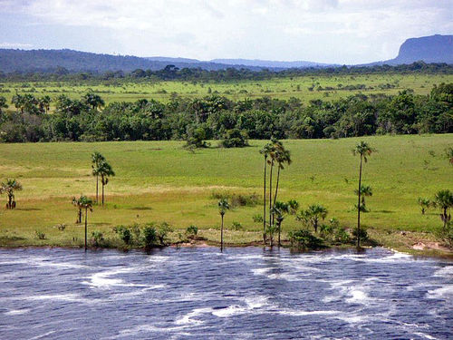 venezuela-savana.jpg